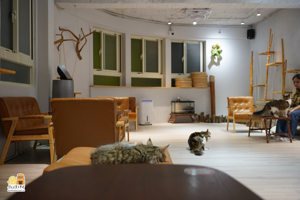 寵物餐廳,捷運頂溪站 寵物餐廳,捷運頂溪站