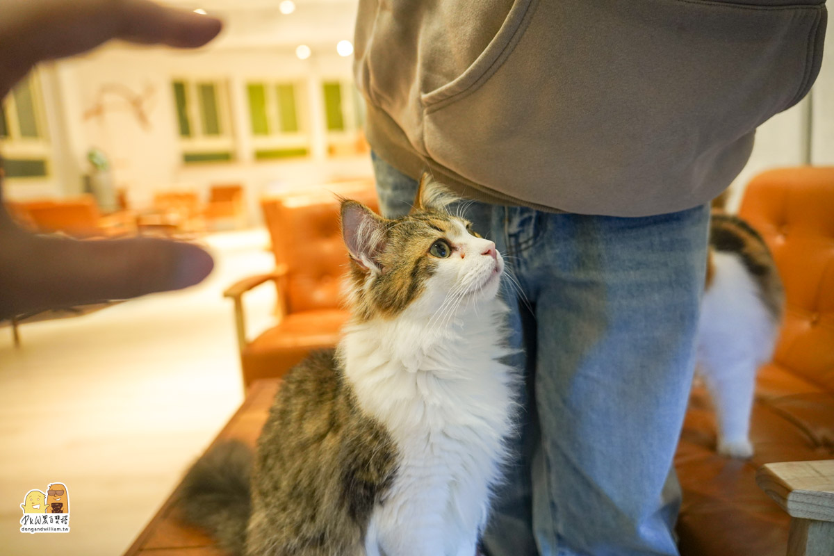 寵物餐廳,捷運頂溪站 寵物餐廳,捷運頂溪站
