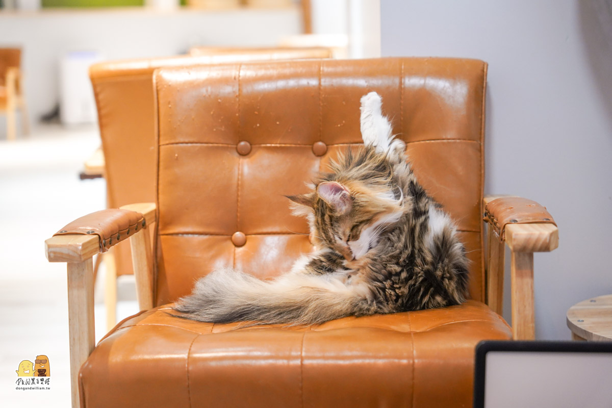 寵物餐廳,捷運頂溪站 寵物餐廳,捷運頂溪站