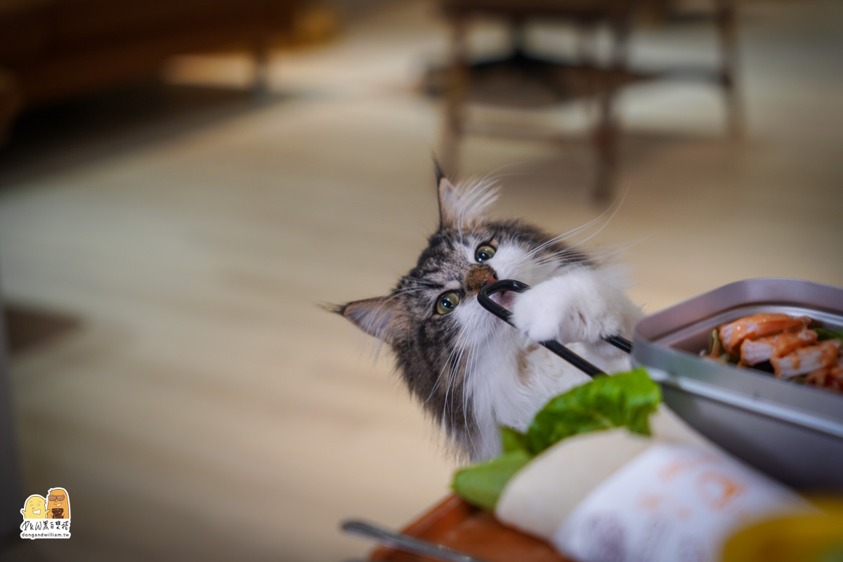 寵物餐廳,捷運頂溪站 寵物餐廳,捷運頂溪站