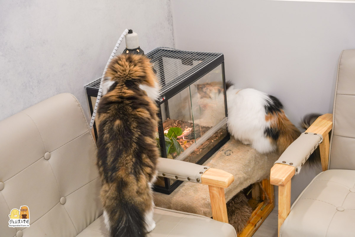 寵物餐廳,捷運頂溪站 寵物餐廳,捷運頂溪站