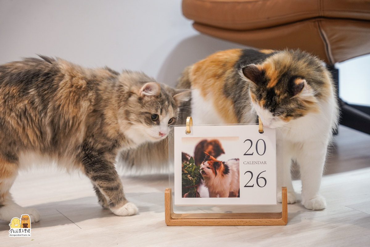 寵物餐廳,捷運頂溪站 寵物餐廳,捷運頂溪站