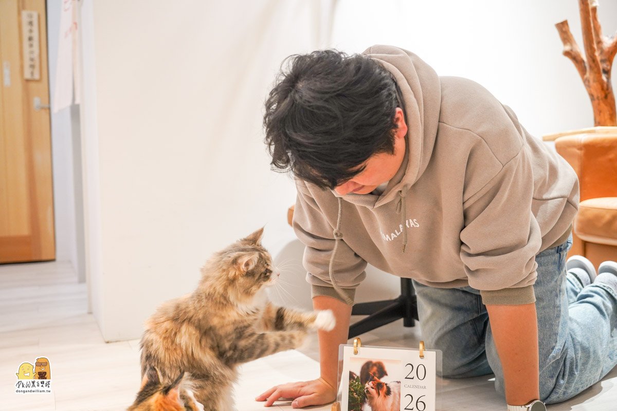寵物餐廳,捷運頂溪站 寵物餐廳,捷運頂溪站