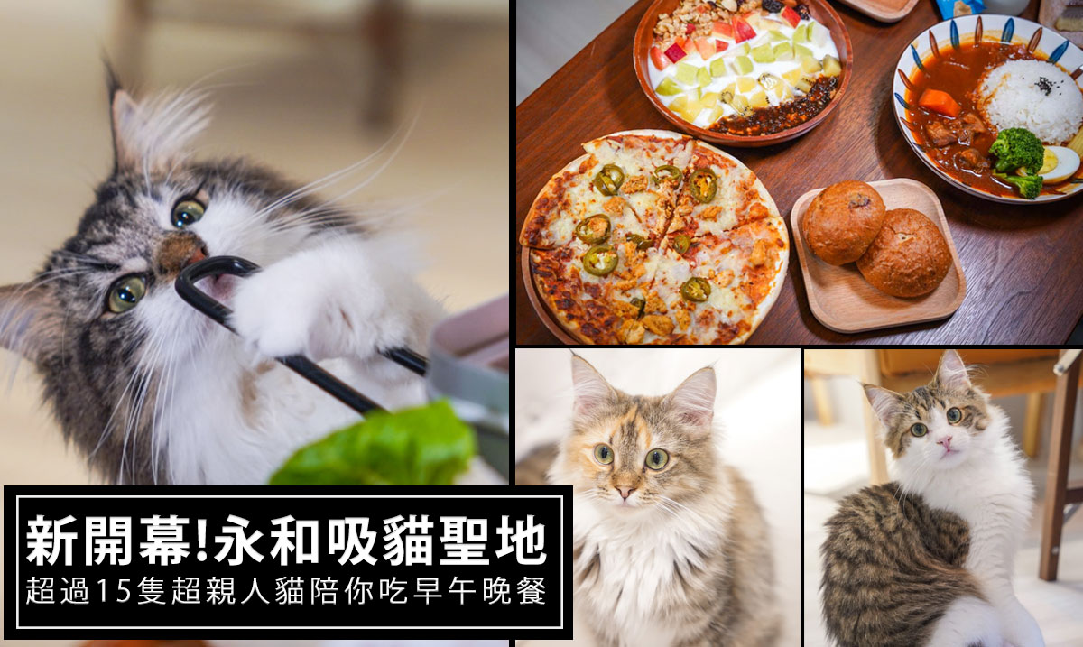 網站近期文章：受保護的內容: 第一次去永和貓境咖啡廳就愛上了！頂溪捷運5分鐘，限時3小時內擼貓咪擼到爽，貓奴必來！
