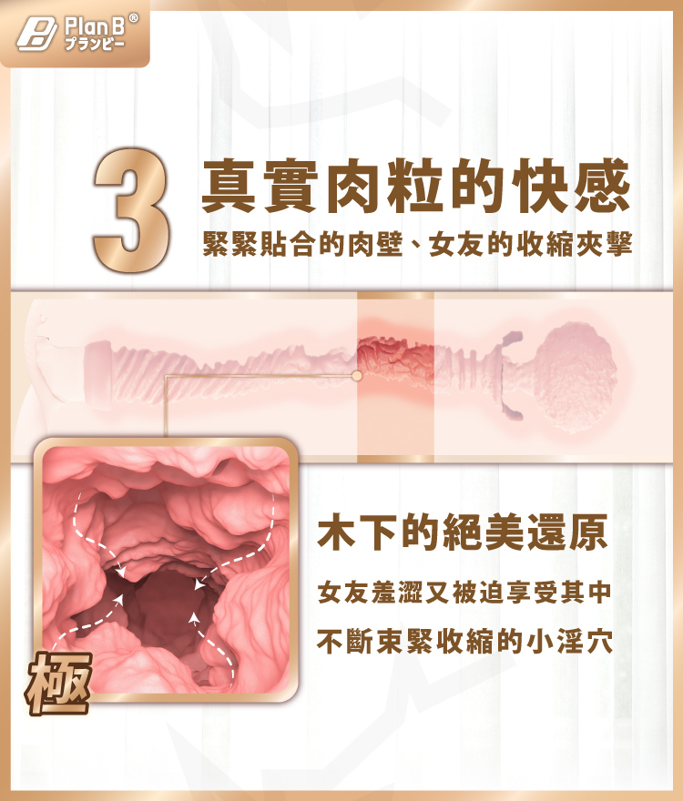 飛機杯,紅犀牛,PLAN B